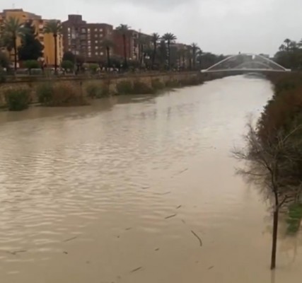 Las lluvias provocan que el río Segura multiplique por seis su caudal a la altura de Cieza