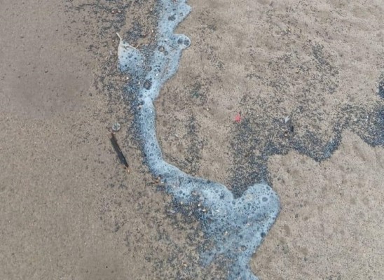 Detectan un posible vertido en las playas de El Saler y El Perellonet, cerradas por trabajos tras la Dana