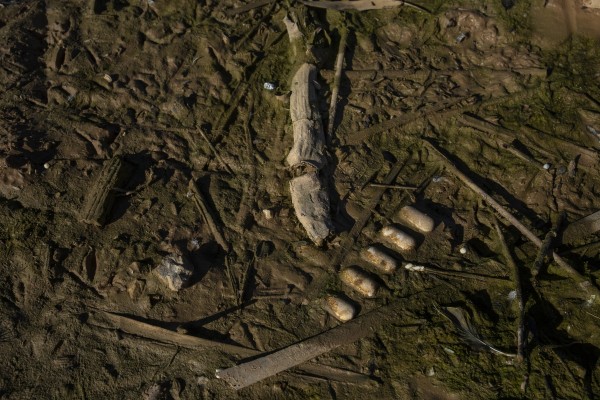 Agró alerta de la contaminación en l'Albufera:  la Dana arrastró una gran cantidad de medicamentos a la marjal
