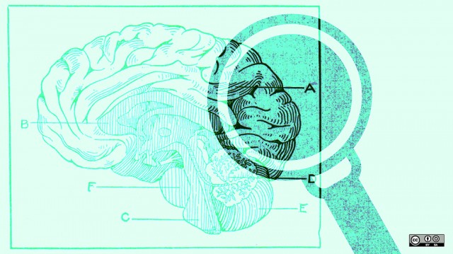 Experto asegura que el estudio del cerebro es el reto 
