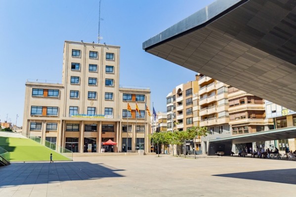 Vila-real licita per més de 45.000 euros el servei d'esterilització i vacunació de gats 