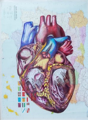 Una mirada artística al interior del cuerpo humano: Iván Fuster muestra en Molina sus obras a bolígrafo y en soportes inusuales