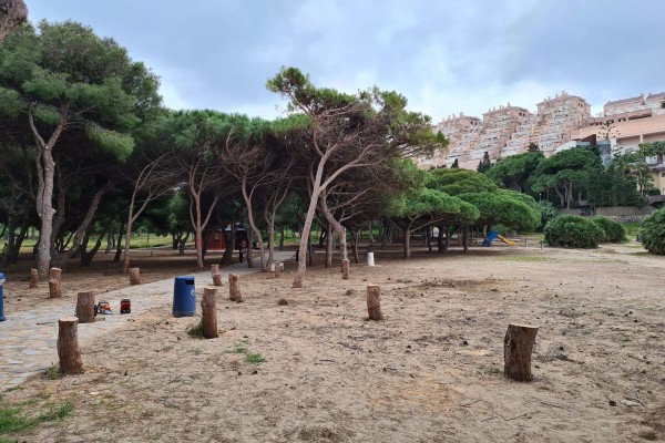 La Plataforma ILP Mar Menor pide protección para Cala del Pino, La Manga y Canteras
