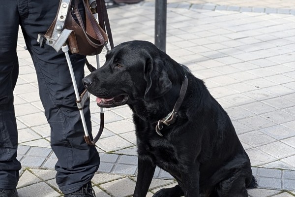 El Consell aprobará el anteproyecto de ley de perros de asistencia para garantizar su acceso a espacios