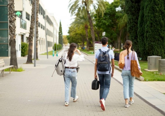 Los estudiantes valencianos, los que más recurren al autoempleo tras obtener el título universitario