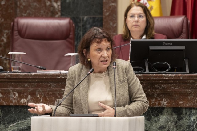 La Asamblea rechaza la petición de voto telemático de María Marín, de baja por una operación