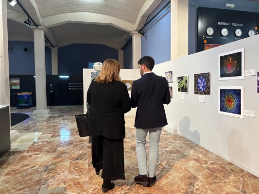 Fotografías con microscopio para captar 'La belleza en lo pequeño': exposición en el Museo de la Ciencia y el Agua de Murcia