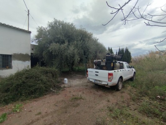 Almassora lleva a cabo controles antimosquitos para evitar focos tras las últimas lluvias 
