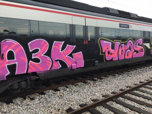 Renfe afirma que la limpieza de grafitis en los trenes supone un coste de 25 millones al año