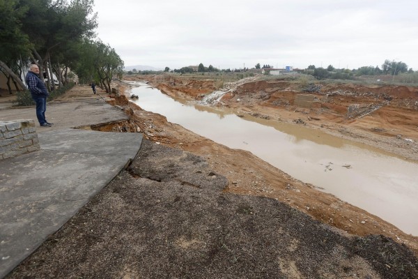 Agroseguro estima que la superficie potencialmente afectada por la DANA ronda las 20.000 hectáreas