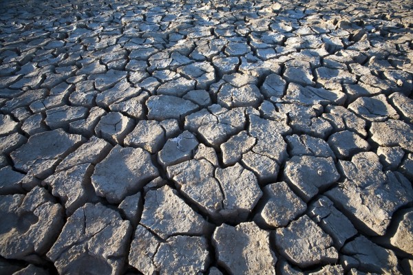 El Gobierno crea el comité de cooperación con las CC.AA especializado en luchar contra la desertificación