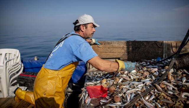 Más de 7.800 kilos de residuos retirados del mar gracias a los pescadores de la Región de Murcia