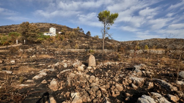 La Diputación invertirá dos millones de euros en la mejora de los montes afectados por el incendio de la Vall d'Ebo