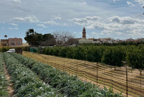 La batalla del Consell de l'Horta: ¿Protección o especulación?