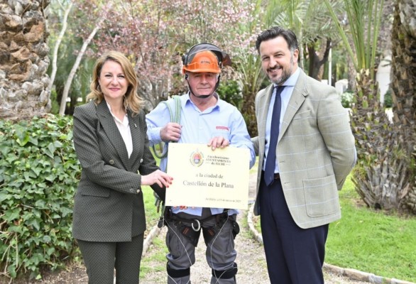 Elche homenajea a la ciudad de Castellón con una palmera en el parque municipal