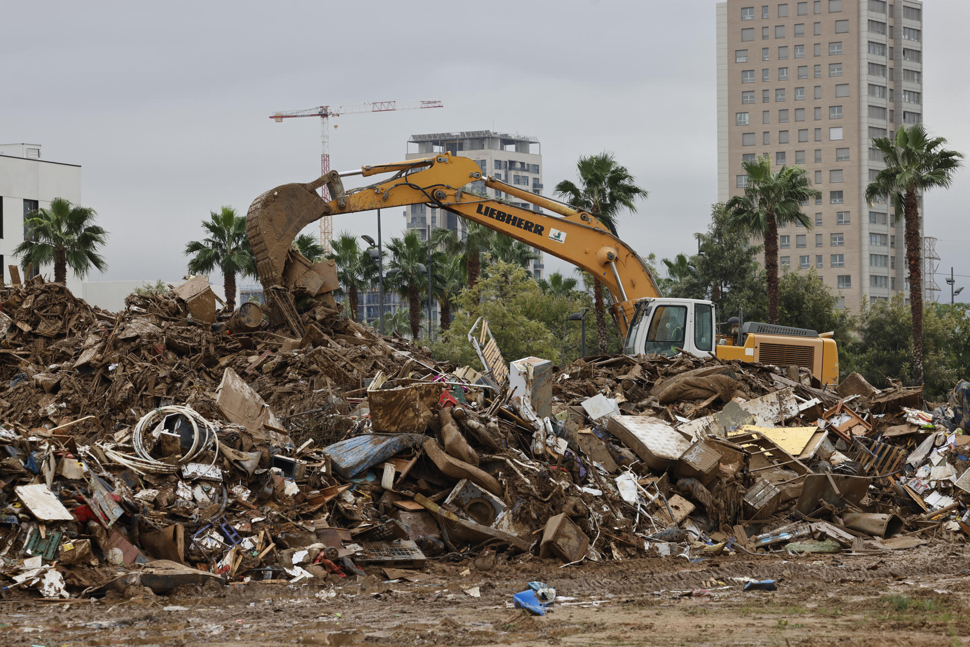 Foto: EFE/ANA ESCOBAR - 