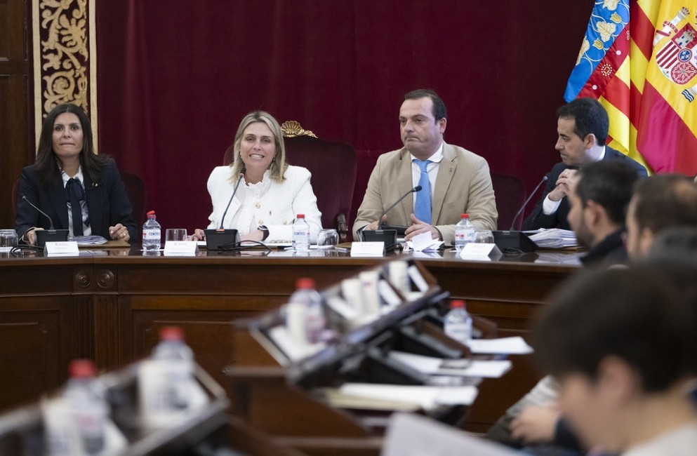 La presidenta de la Diputación, Marta Barrachina, en una de sus intervenciones. - 
