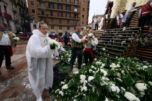 El Ayuntamiento retira 12.580 kilos de flores del cadafal de la Virgen de los Desamparados tras la Ofrenda de Fallas