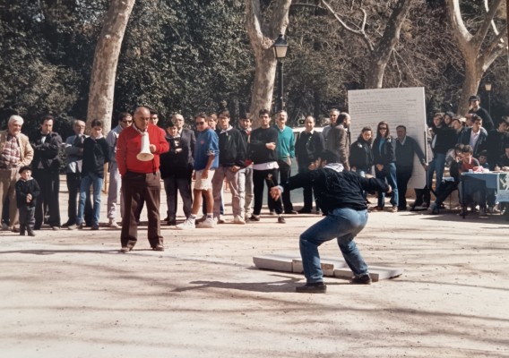 Campionat Campionat Mundial de Boli, 35 edicions d'un referent magdalener
