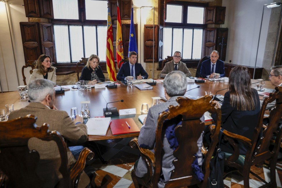 Pleno del Consell, este jueves. - Foto: EFE/BIEL ALIÑO