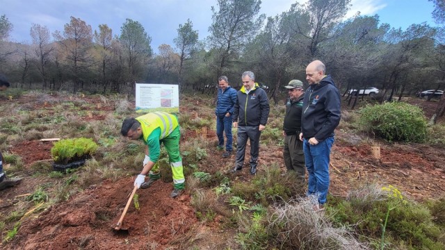 La Comunidad comienza a reforestar con la plantación de 4.300 ejemplares de especies autóctonas en Calblanque