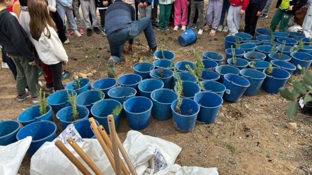 Alicante celebra el Día del Árbol con actividades de reforestación en centros educativos 