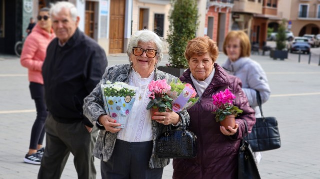 Onda celebra el Día del Árbol con actividades familiares que fomentan la sostenibilidad 