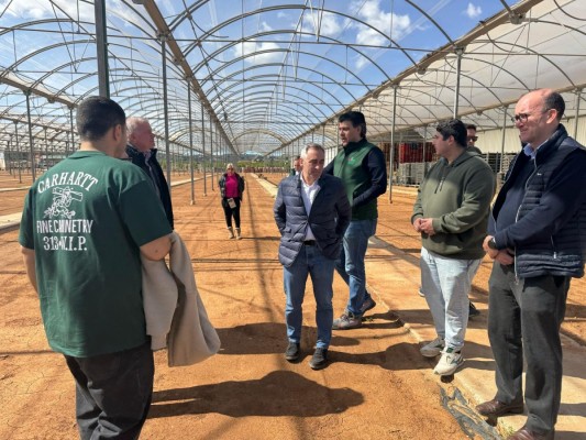 Barrachina destaca la inversión de la Generalitat de 5,3 millones para recuperar viveros y cultivos hortícolas tras Dana