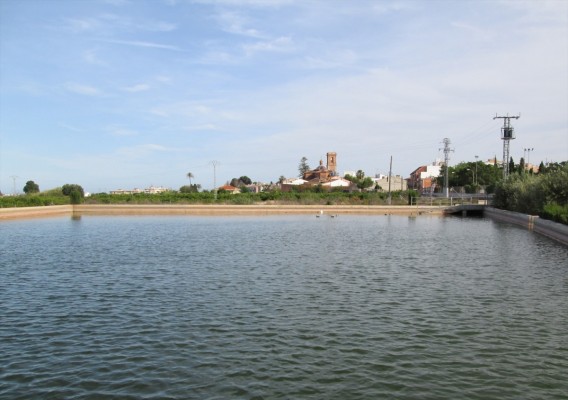 AVA celebra que el Congreso apruebe la doble tarifa eléctrica para el campo