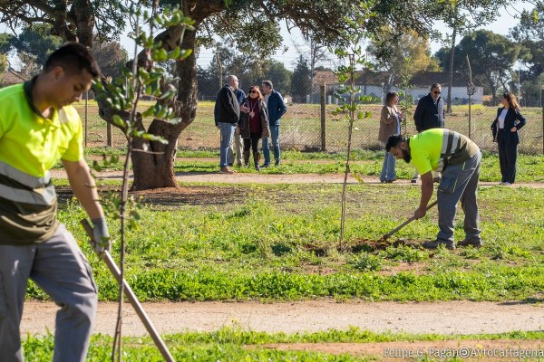 El Parque de los Exploradores se renueva con más árboles, bancos y mejoras en el riego