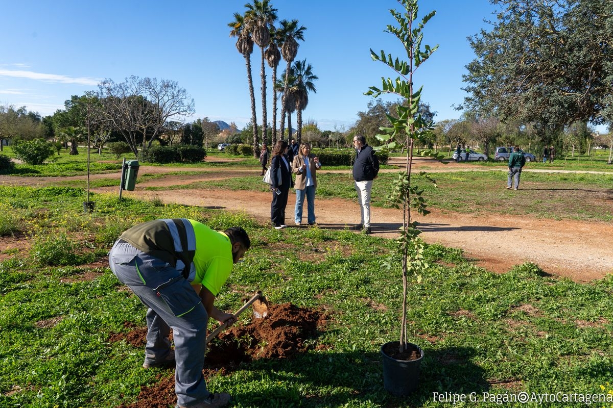  - FOTO: AYTO CARTAGENA