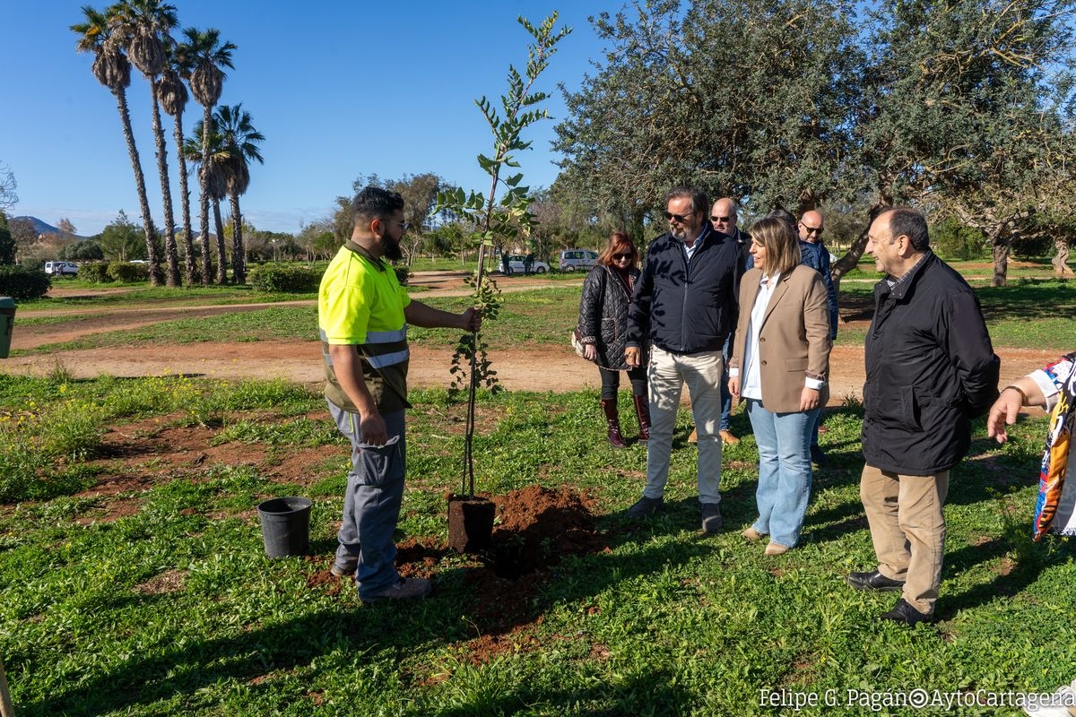  - FOTO: AYTO CARTAGENA