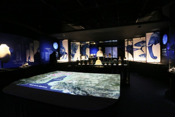 El MARQ amplía a septiembre la exposición 'Ciudades de luz'