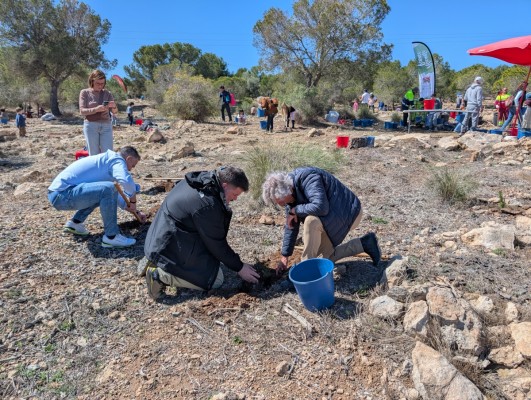 Medio Ambiente reconoce la labor del programa de reforestación de Alicante Renace en Orgegia