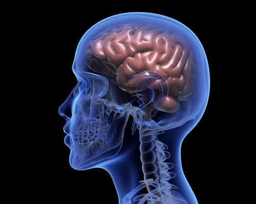 Un campo magnético aplicado a ambos lados del cerebro mejora rápidamente la depresión
