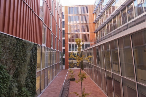 El plazo del Consell con Borrull: el traslado gradual de los servicios se producirá a lo largo de diciembre