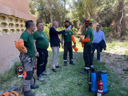 Ayuntamiento contratará un servicio de limpieza específico para proteger el monte de la Devesa-Albufera