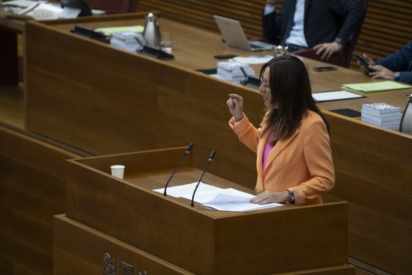 El PSPV denuncia la supresión de fondos contra la violencia machista en el presupuesto