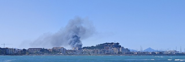 Bomberos trabajan para extinguir un incendio de matorral y palmeras en Dénia