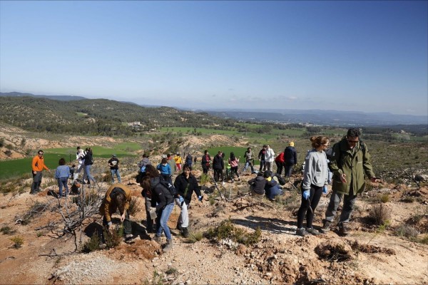 Empleados de AstraZeneca reforestan bosques en Barcelona