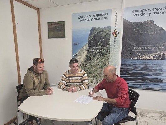 Altea vuelve a ceder las instalaciones de la antigua cooperativa para las campañas del níspero y la naranja