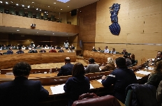 La Comisión de la Dana de la Diputación finaliza con la confianza de que su Plan de emergencias 
