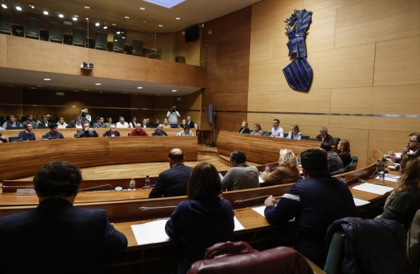 El PP de la Diputación de Valencia dice que el Es_Alert requiere autorización del Gobierno