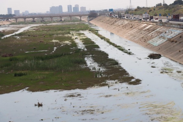 Xirivella reclama a la CHJ la limpieza del cauce del río para prevenir la proliferación de mosquitos 
