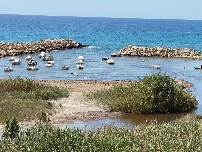 La mercantil SATO se queda con las obras para acondicionar la Cala Baeza de El Campello por 3 millones