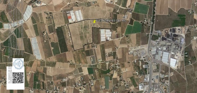El Consell autoriza una planta fotovoltaica de 3 MW y 1,7 millones de inversión en Novelda