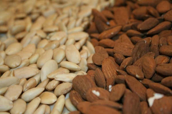 Las exportaciones agroalimentarias de la Comunitat, similares a almendras y nueces importadas