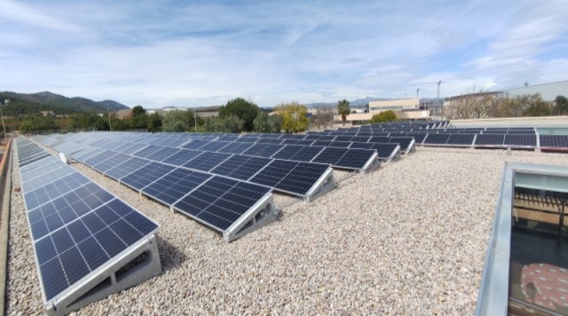 Betxí pone límites a las fotovoltaicas para proteger la agricultura: fija 98  hectáreas para plantas solares