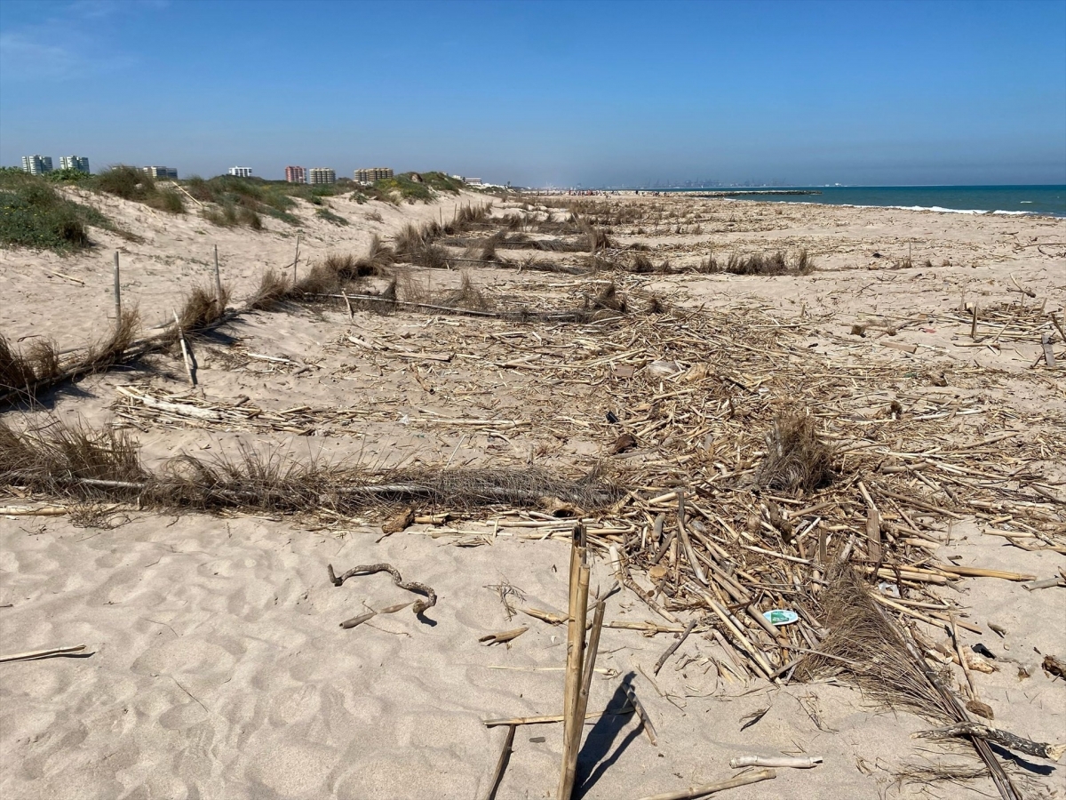València requiere al Gobierno central los 917.000 euros de limpieza de residuos de playas tras la Dana