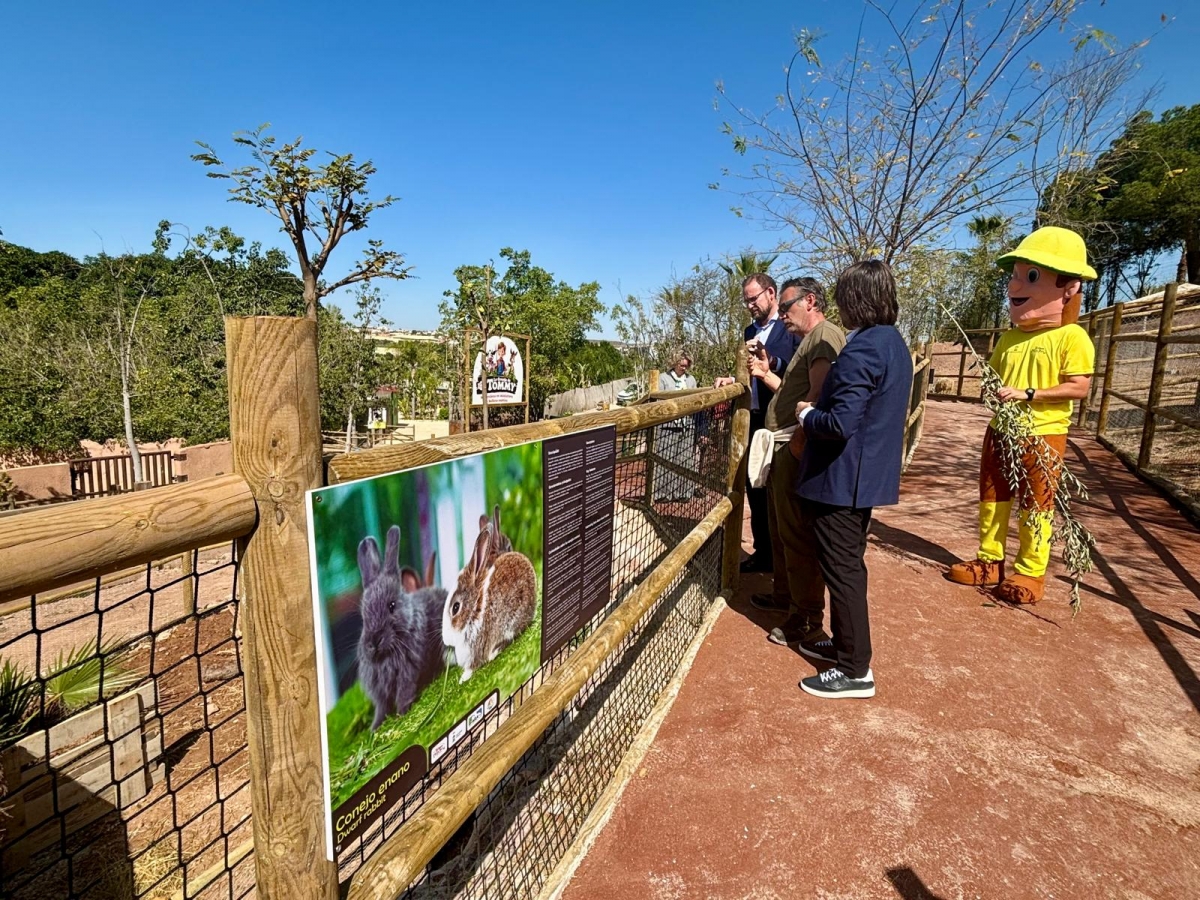  - Foto: AYTO. MURCIA